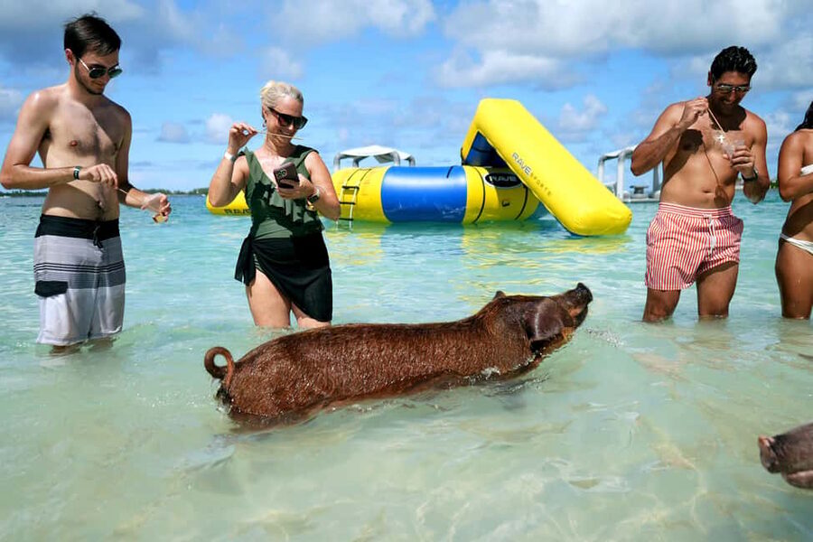 Nassau: Swimming Pigs, Snorkeling, Lunch, & Beach Boat Tour - A private beach day with more than a chair