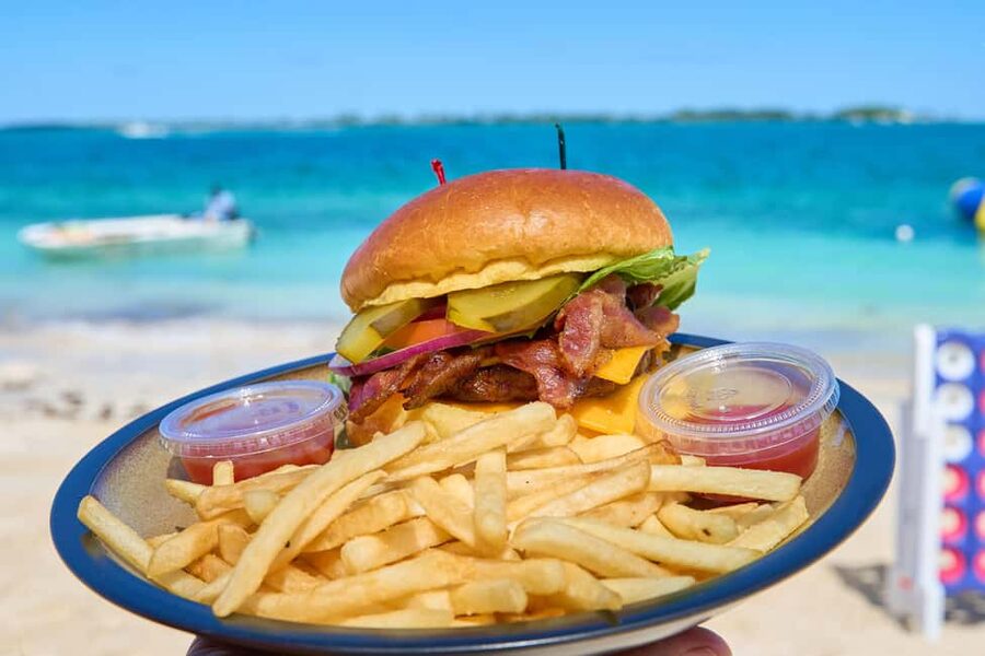 Nassau: Swimming Pigs, Snorkeling, Lunch, & Beach Boat Tour - Timing, groups, and cruise-ship practicality