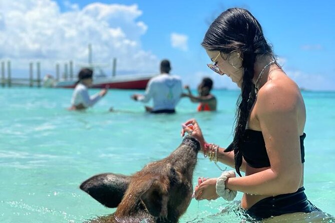 Nassau Swimming Pigs: Snorkeling, Lunch & Private Beach Club - Lunch, rum punch, and room to relax