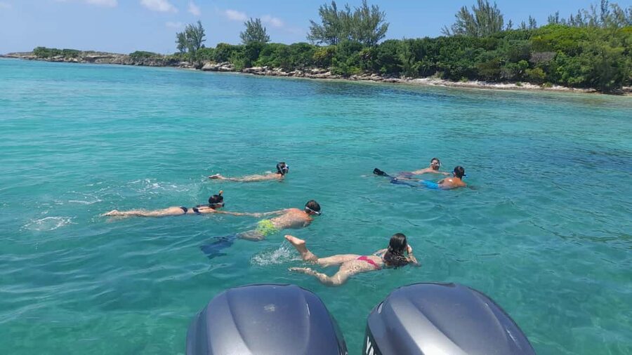 Nassau: Swimming with Pigs, Snorkeling, and Sightseeing Tour - Should you book it?