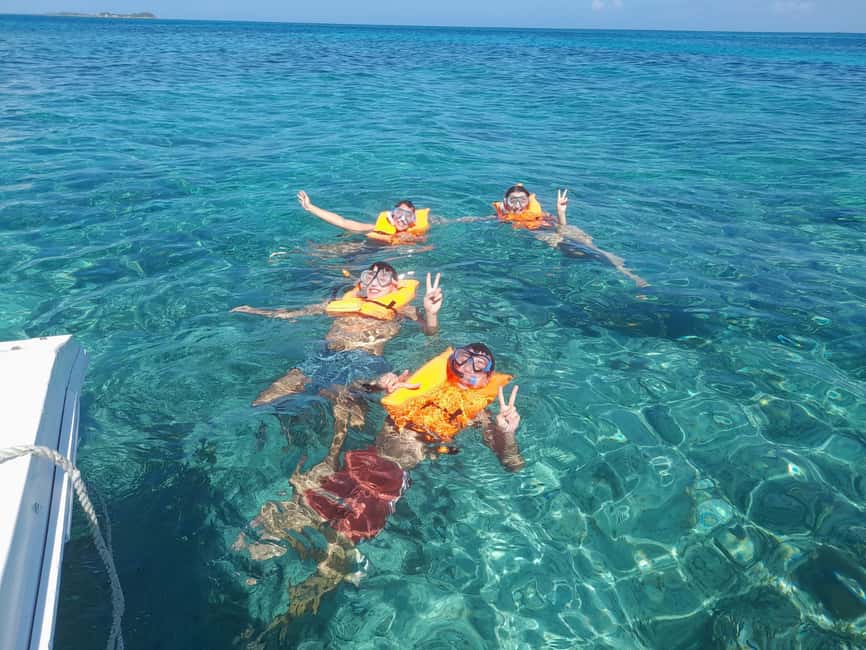 Nassau: Swimming with Pigs, Snorkeling, and Sightseeing Tour - The pig island stop and the extra-cost choice