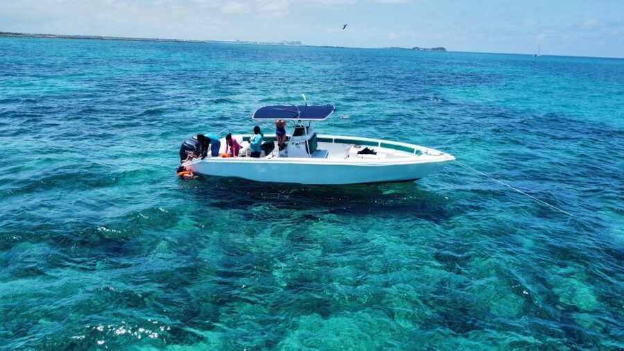 Nassau: Swimming with Pigs, Snorkeling, and Sightseeing Tour - Timing, flexibility, and getting back on schedule