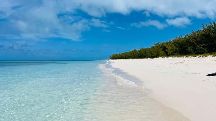 Nassau: Swimming with Pigs, Snorkeling, and Sightseeing Tour - Who will enjoy this Nassau boat tour