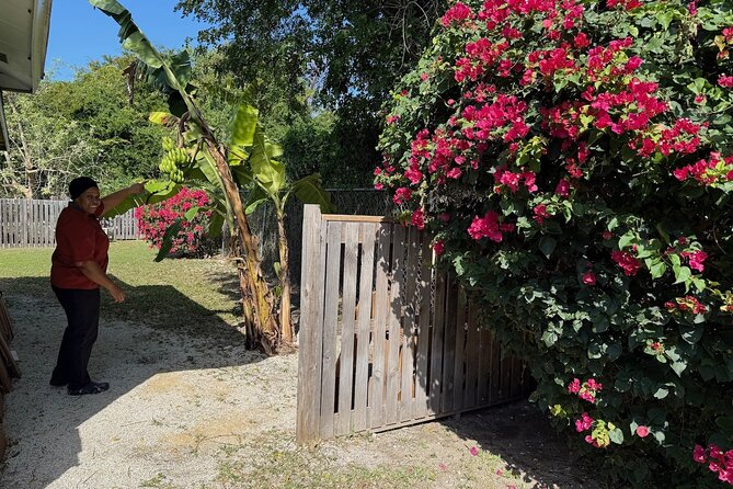NEW! Authentic Bahamian Cooking and Cocktails with Transfers - Transfers from hotels and the cruise port