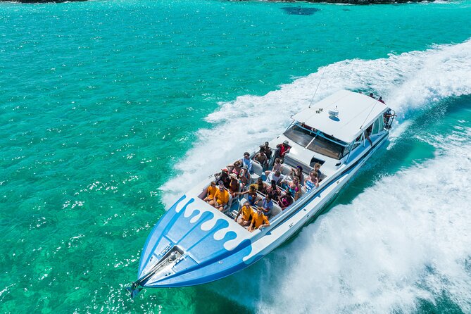 Original Exuma Powerboat Adventures - Snorkeling the reef near Ship Channel Cay