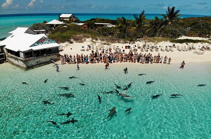 Original Exuma Powerboat Adventures - Conch salad, grouper, steak, and an open bar