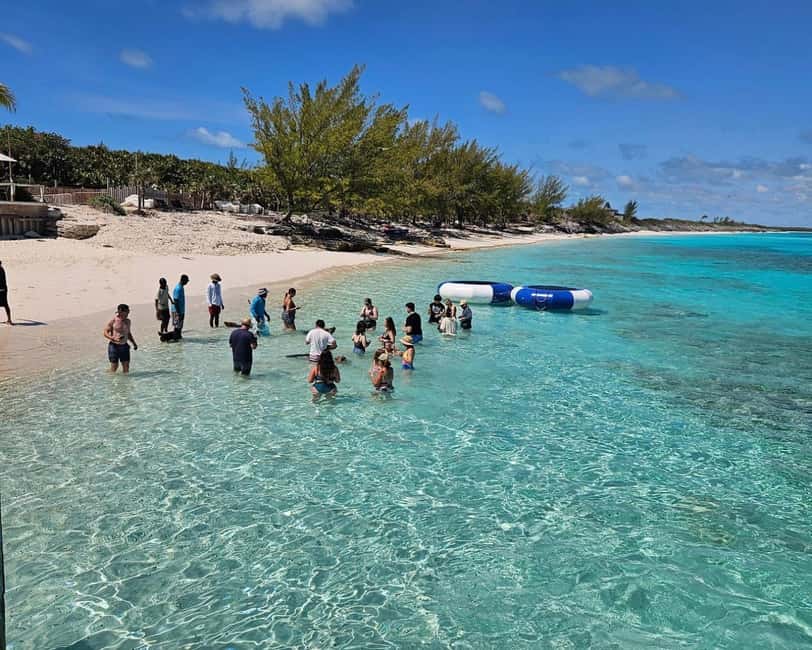 Paradise Found In Hog Haven: Ultimate Beach Escape - Rose Island and the swimming pigs