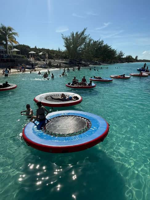 Paradise Found In Hog Haven: Ultimate Beach Escape - What happens on Rose Island