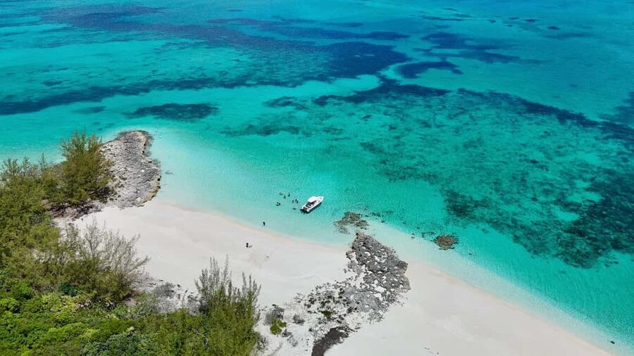 Paradise Found In Hog Haven: Ultimate Beach Escape - How the schedule works