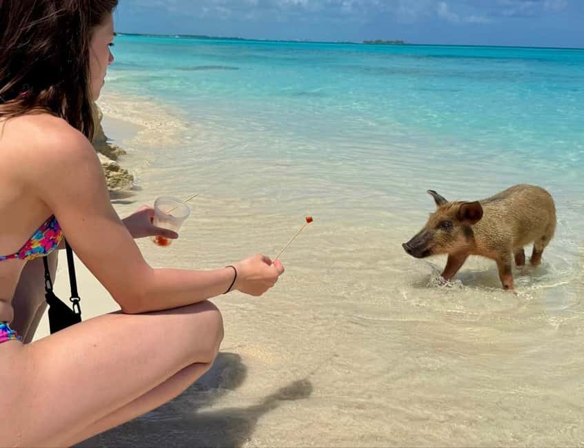 Paradise Found In Hog Haven: Ultimate Beach Escape - Practical tips for a smoother day