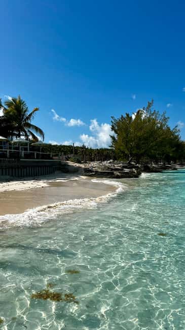 Paradise Found In Hog Haven: Ultimate Beach Escape - Should you book the Rose Island pig encounter?