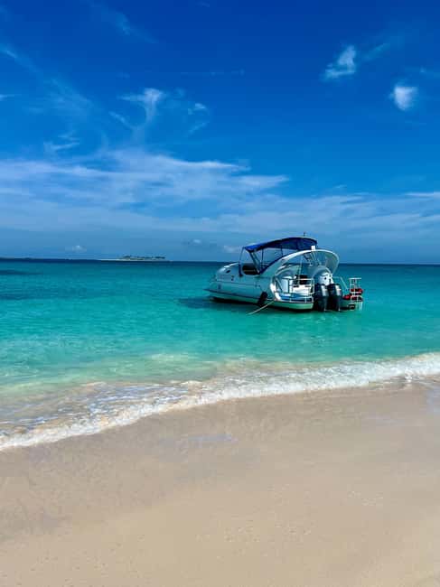 Paradise Island: Glass-Bottom Boat Tour with Live Commentary - From the Fishing Dock to Nassau Harbor