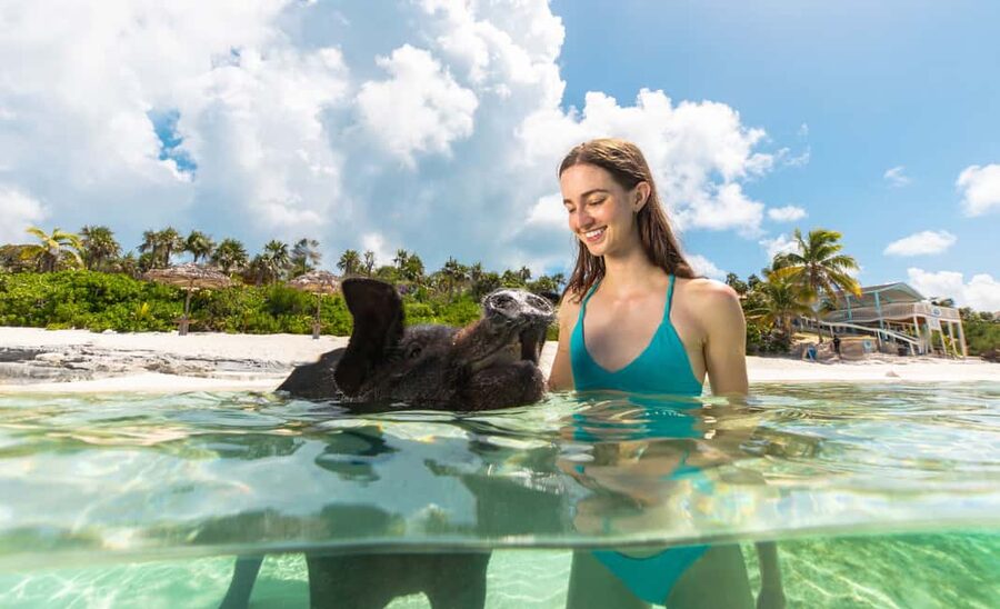Paradise Island: Rose Island Tour with Swimming Pigs & Lunch - The Boat Ride from Paradise Island to Rose Island