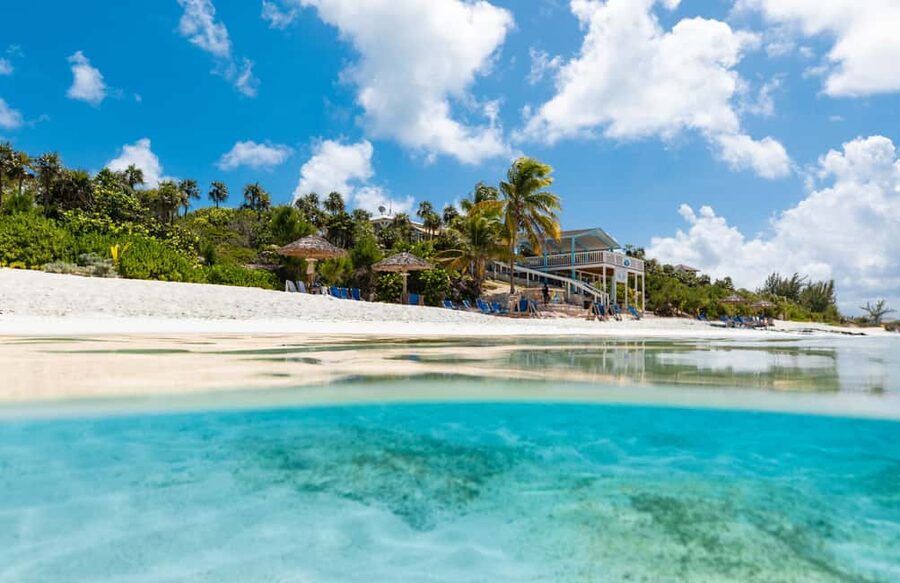 Paradise Island: Rose Island Tour with Swimming Pigs & Lunch - Meeting the Swimming Pigs