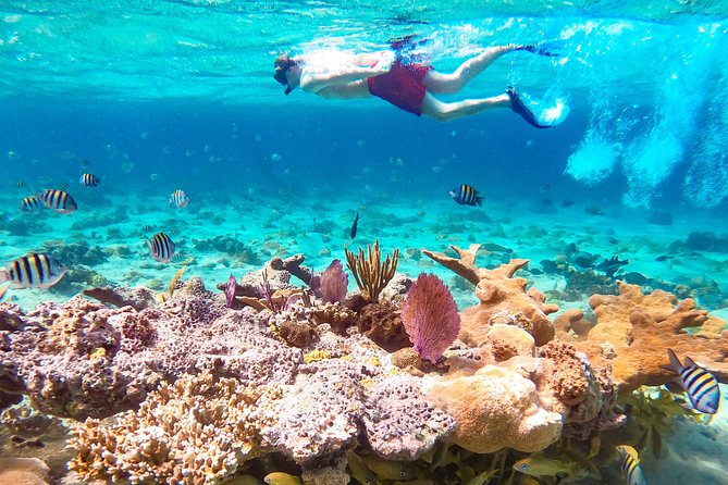 Pearl Island Bahamas Snorkeling Experience and Lunch - The ferry ride from Paradise Island