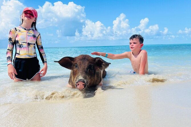 Perfect Day Swimming Pigs, Turtles, Reef Snorkel & Lunch - Key points to know before booking