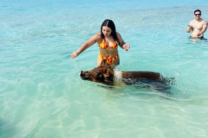 Perfect Day Swimming Pigs, Turtles, Reef Snorkel & Lunch - Snorkeling near Atholl Island or Green Cay