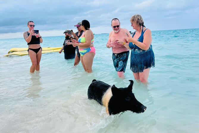 Perfect Day Swimming Pigs, Turtles, Reef Snorkel & Lunch - Two hours at Rose Island’s private beach club