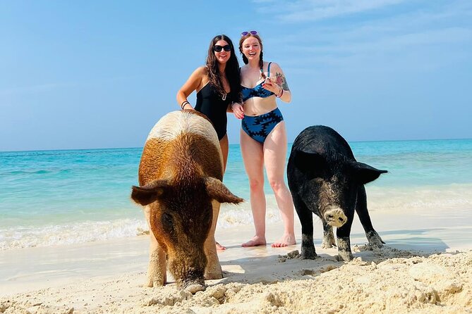 Perfect Day Swimming Pigs, Turtles, Reef Snorkel & Lunch - Watching turtles at protected Green Cay
