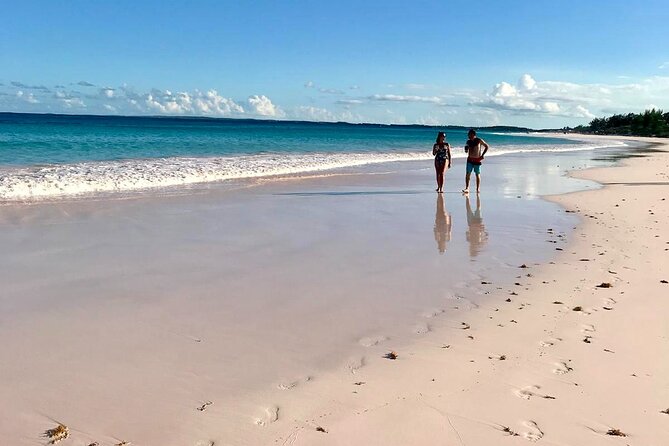 Pink Sand Beach and Swimming Pigs Adventure from Nassau - Meeks Patch and the swimming pigs