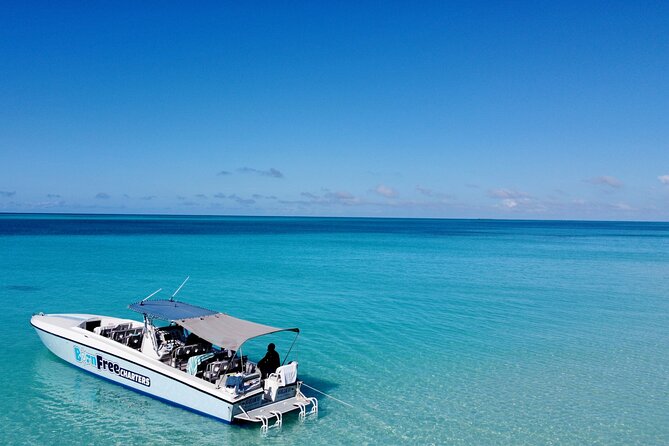 Pink Sand Beach and Swimming Pigs Adventure from Nassau - What Pink Sands Beach is really like