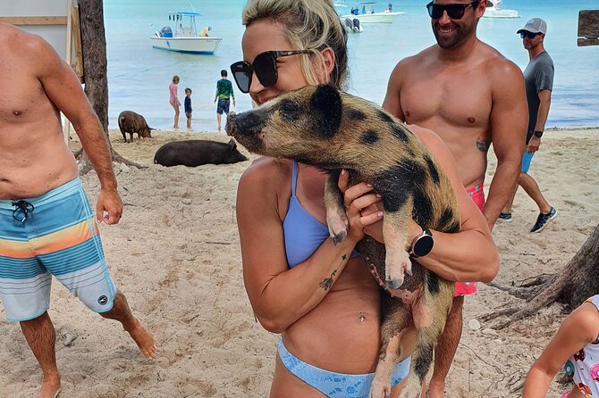 Powerboat and Snorkel Experience with Swimming Pigs and Turtles - Sandy Cay and the beach break