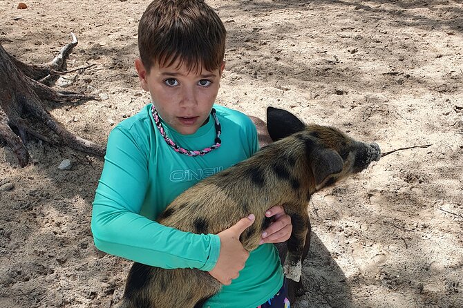 Powerboat and Snorkel Experience with Swimming Pigs and Turtles - What the $145 price really covers