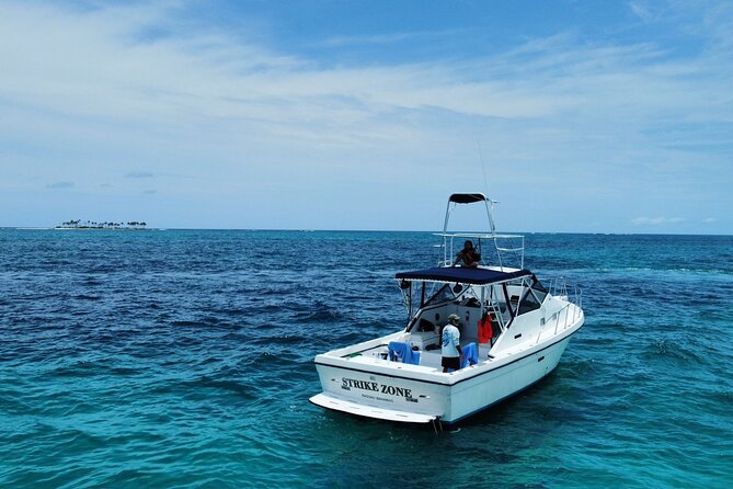 Private 38' Defender Sportfishing/Swim with Pigs in Nassau - Key points at a glance