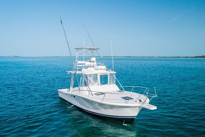 Private Bahamas Half-Day Fishing Tour from New Providence - What the two fishing hours are really like