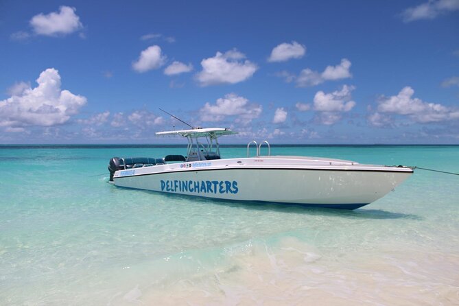 Private Boat Swim and Snorkel Adventure to Rose Island - Key things to know before you book