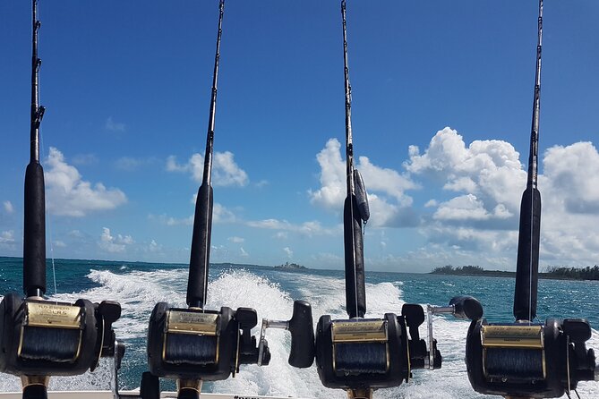 Private Charter for snorkeling, swimming pigs, turtles & fishing.... - The real value of an $850 private charter