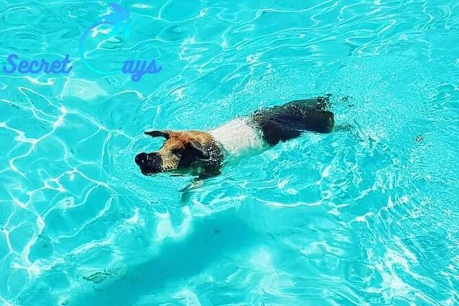 Private Charter for snorkeling, swimming pigs, turtles & fishing.... - Who will enjoy this charter most
