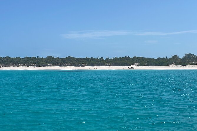 Private Eleuthera Island: Swim With Pigs, Turtles & Stingrays - Royal Island’s sandbar and wooden swings