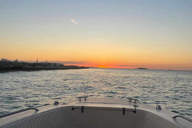 Private Eleuthera Island: Swim With Pigs, Turtles & Stingrays - What is included, and what you should bring