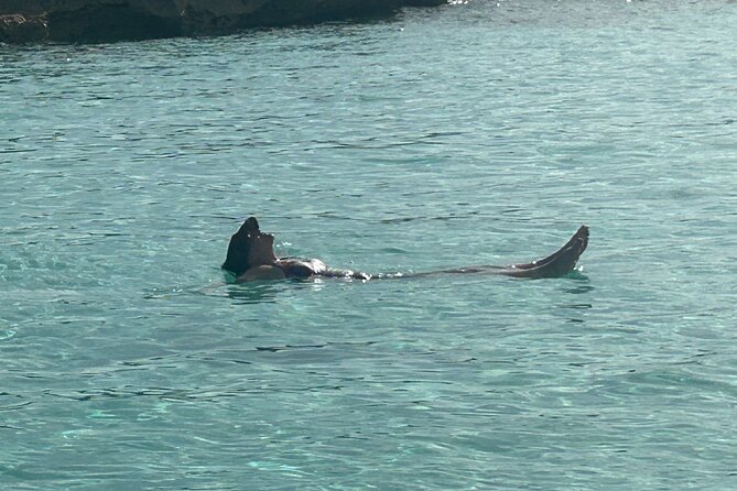 Private Full Day Cruise Tour in Rose Island with Snorkeling - A private way to see Nassau from the water