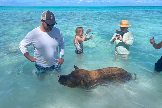 Private Full Day Cruise Tour in Rose Island with Snorkeling - White sand, sea turtles, and time away from crowds