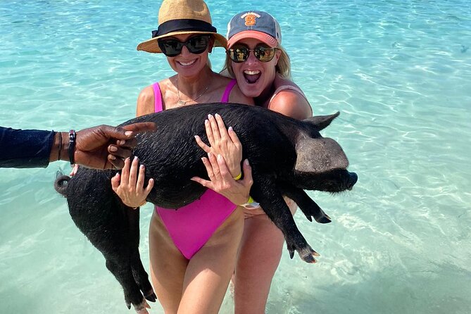 Private Rose Island, Swimming Pigs, Snorkeling and Turtles - A private Nassau boat day with room to change plans