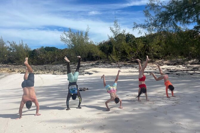Private Rose Island, Swimming Pigs, Snorkeling and Turtles - The swimming-pig stop is optional and not the famous Exuma island