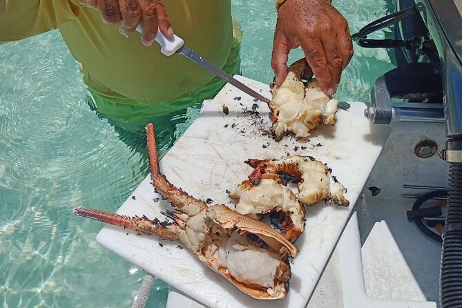 Private Snorkeling And Fishing Activity - The boat, shade, and onboard supplies