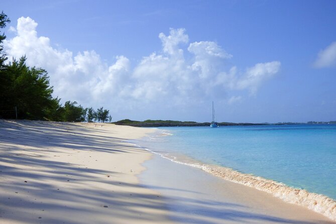 Private Snorkeling or Fishing from Nassau - 31ft Sitting Pretty - Reef snorkeling and turtle sightings