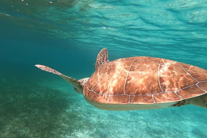 Private Snorkeling or Fishing in Nassau - 55ft Cocorijo - Gilligan’s Island and Rose Island stops
