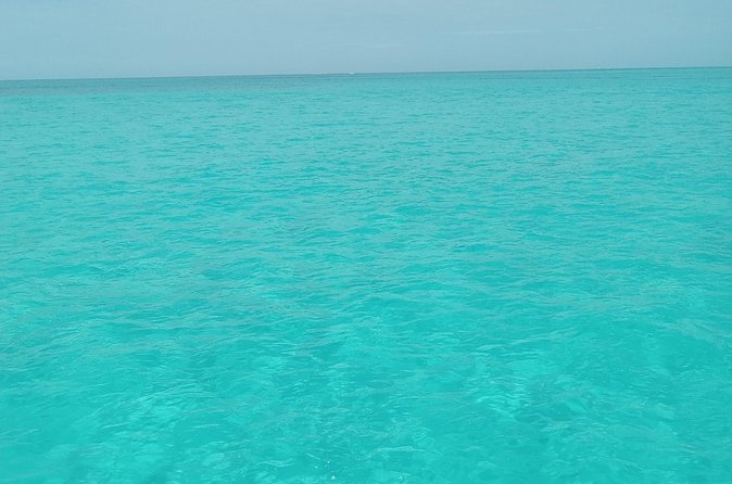 Private speed boat beach and bar hopping visiting Rose island - Timing, booking, and weather details