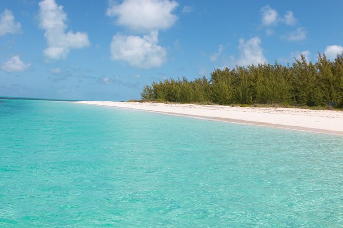Private Speed Boat for Snorkeling or Fishing in Nassau - 34ft - A private Nassau boat instead of a fixed group cruise