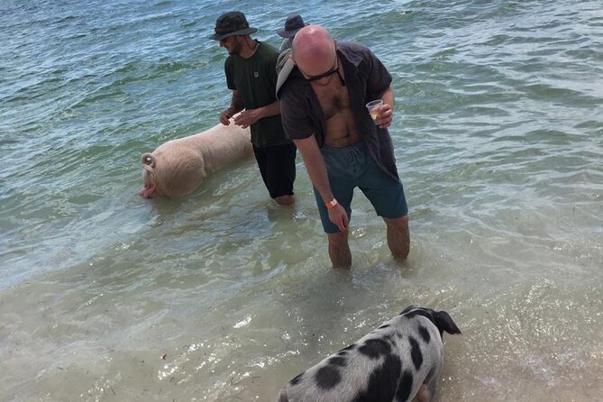 Private Swim With Pigs and Snorkeling in Paradise Tour - Snorkeling over coral reefs
