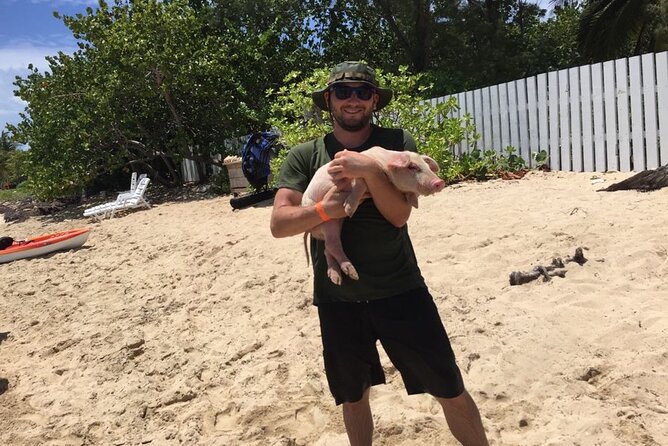 Private Swim With Pigs and Snorkeling in Paradise Tour - Looking for green turtles in the clear water