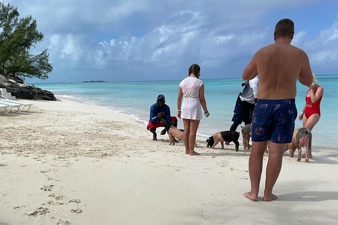 Private Swim With Pigs and Snorkeling in Paradise Tour - Time on a secluded beach