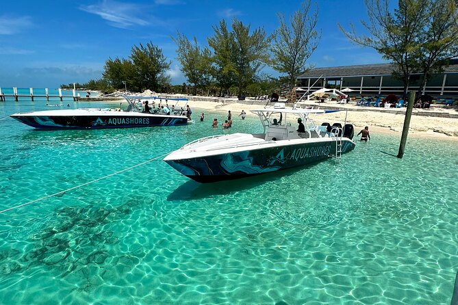 Private Tour 45ft Powerboat to Nearby Islands - Meeting swimming pigs near Rose Island
