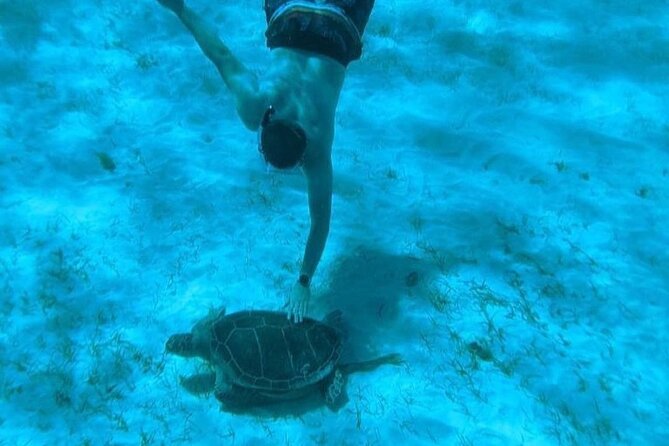 Rose Island Adventure: Snorkel, Sea Turtles, and Private Beach - The real value at $139.25