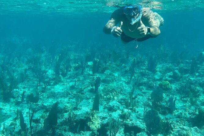 Rose Island Adventure: Turtle Swim and Snorkel - From Hurricane Hole to the open water