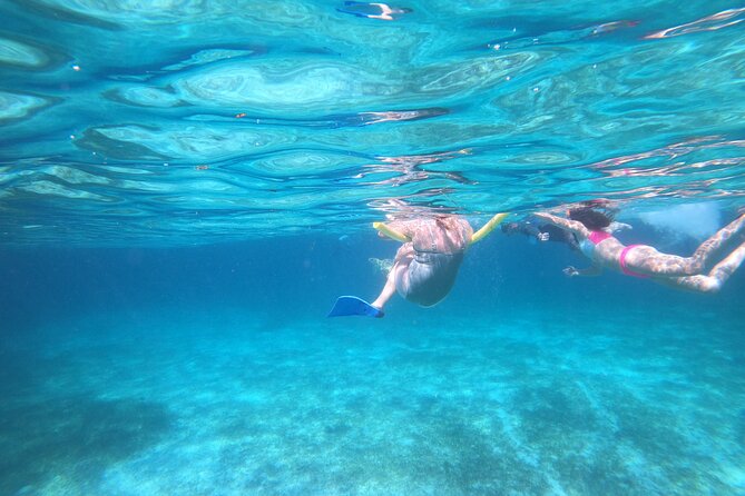 Rose Island Adventure: Turtle Swim and Snorkel - Rose Island for beach time, drinks, and lunch